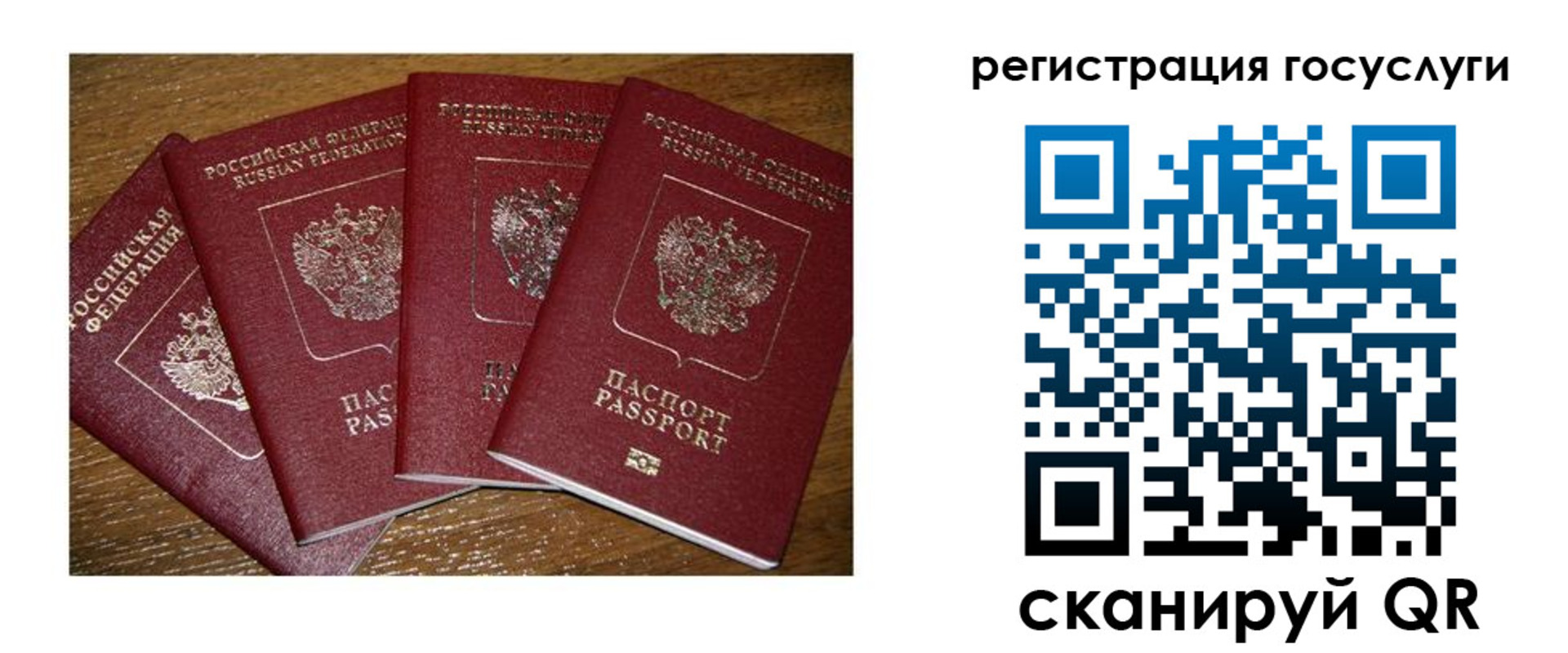 временная регистрация гарантия в Вольске